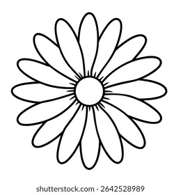 Daisy Vector on White Background