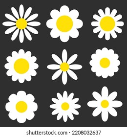 Daisy vector set. White Сamomile collection.