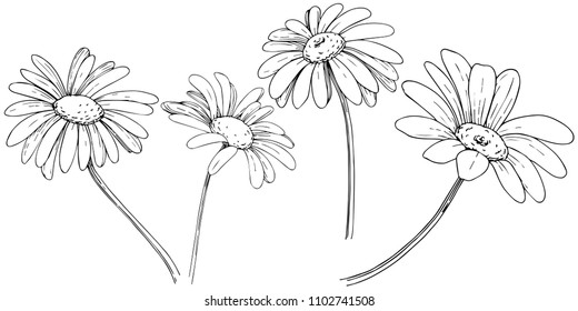 Daisy in a vector style isolated. Full name of the plant: daisy, chamomile. Vector flower for background, texture, wrapper pattern, frame or border.