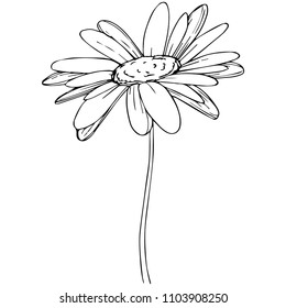 Daisy in a vector style isolated. Full name of the plant: Daisy. Vector flower for background, texture, wrapper pattern, frame or border.