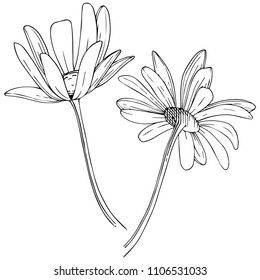 Abstract Daisylike Flower Continuous Line Art Stock Vector (Royalty ...