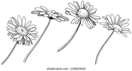 Abstract Dandelions Dandelion Flying Seeds Stock Stock Vector (Royalty ...