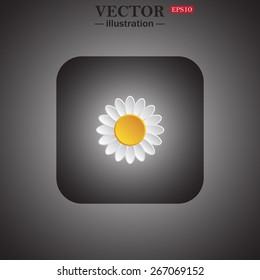daisy , web icon. vector design