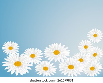 Daisy wheels on blue background. Vector illustration