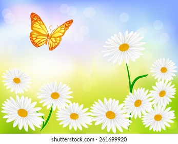 Daisy wheels on of soft colored  background. Vector illustration
