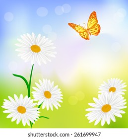 Daisy wheels on of soft colored background. Vector illustration