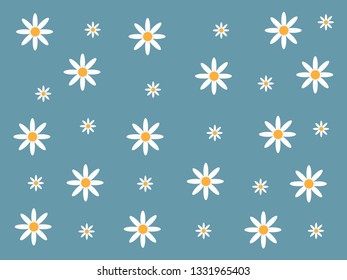 Daisy White and Yellow Background