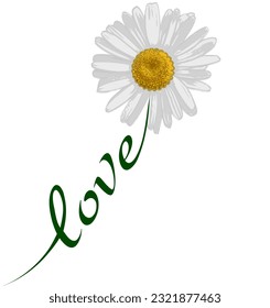 daisy white yellow with green stem and love as lettering