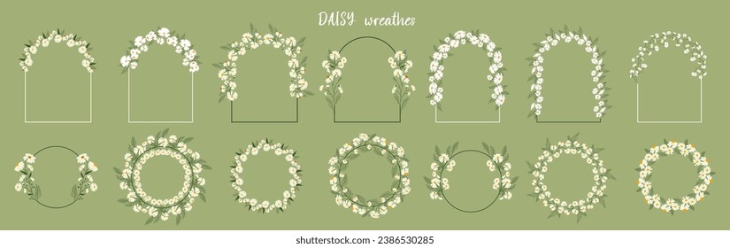 daisy, wreath, chamomile, arch, frame, wedding invitation, arc, flower, herb, floral, blossom, plant, flora, botanical, spring, nature, vintage, logo, organic, herbal, bloom