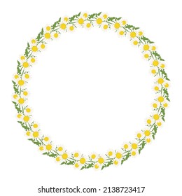 Daisy wreath. Round frame, cute white flowers chamomile with yellow hearts and leaves. Festive decorations for wedding, holiday, postcard, poster and design. Vector flat illustration