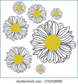 dunkelgelbe weiße Blumen im Hintergrund