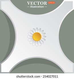 daisy,vector illustration, EPS 10