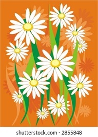 daisywheels