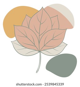 Dalia leaf, leaf color vector, Dalia leaf color blobs, leaf, flower, circular shape