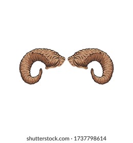 Dall sheep or goat horn drawing isolated on white background - brown hand drawn animal bone. Thick curved cartoon bighorn ram horns - vector illustration