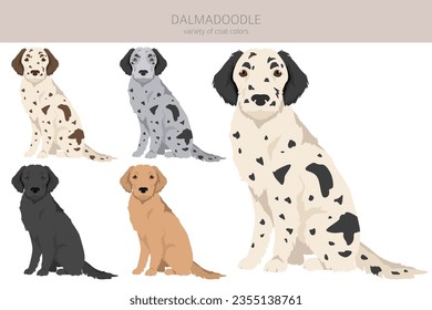 Dalmadoodle clipart. Dalmatian Poodle mix. Different coat colors set.  Vector illustration