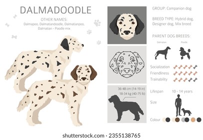 Dalmadoodle clipart. Dalmatian Poodle mix. Different coat colors set.  Vector illustration