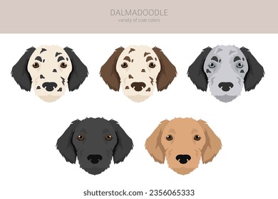 Dalmadoodle clipart. Dalmatian Poodle mix. Different coat colors set.  Vector illustration