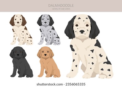 Dalmadoodle clipart. Dalmatian Poodle mix. Different coat colors set.  Vector illustration