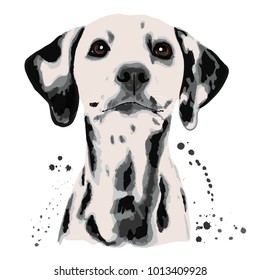 Dalmatian and blots the dog's head