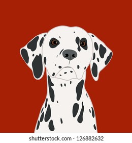 Dalmatian, The buddy dog