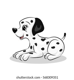 dalmatian cute dog at the white background