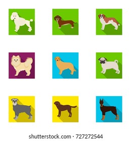 Dalmatian, dachshund, poodle, and other web icon in flat style.Bernard, laika, shepherd, icons in set collection.