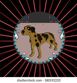 Dalmatian Dog