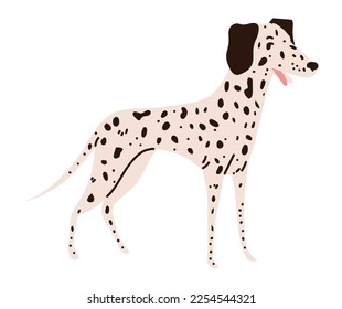 dalmatian dog animal icon white background