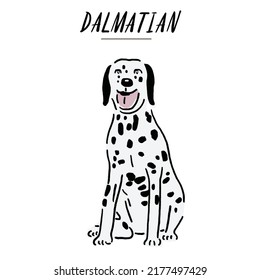 Dalmatian Dog breed Hand drawn Color Illustration