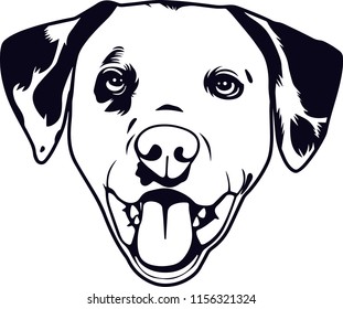 Dalmatian Dog Breed Peeking Pet Puppy Stock Vector (Royalty Free ...