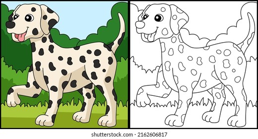 Dalmatian Dog Coloring Page Colored Illustration