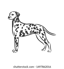 1,781 Dalmatian logo Images, Stock Photos & Vectors | Shutterstock