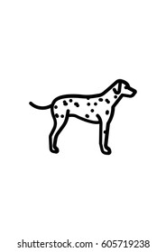 Dalmatian dog icon, Vector