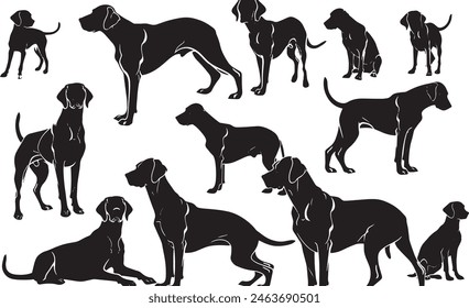 Dalmatinische Hundeabbildung isoliert, Vektorgrafik