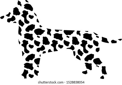 Dalmatian dog isolated on white background. vector design 