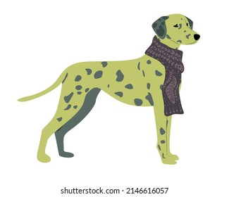 Dalmatian dog. Isolated vector illustration for stickers, notebooks, postcards, web design, etc. Dog in warm clothes with a pattern