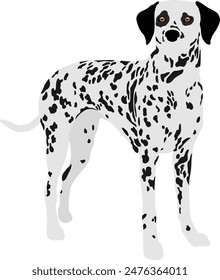 Dalmatian Dog Minimal Flat Vector Illustration