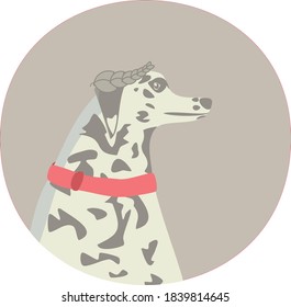 Dalmatian dog on rounded background