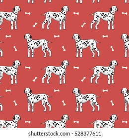 dalmatian dog pattern