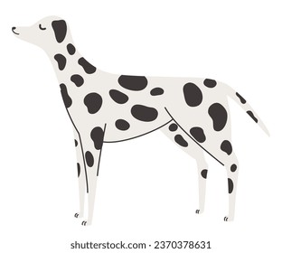 Dalmatian dog. Pets, animals, canine theme design element in contemporary simple flat style. Vector cartoon Illustration isolated on the white background.