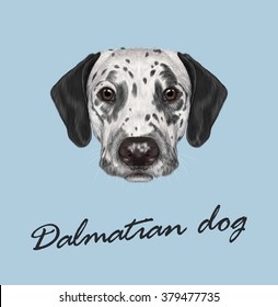 Dalmatian dog portrait. Vector illustrated portrait of black-spotted dog on blue background.