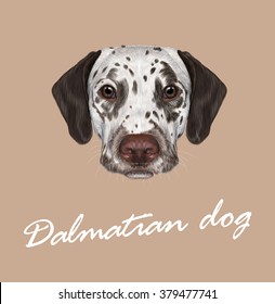 Dalmatian dog portrait. Vector illustrated portrait of brown-spotted dog on tan background.