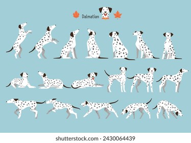 Dalmatian. dog position set. flat vector illustration.