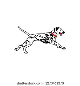 dalmatian dog run vector illustration