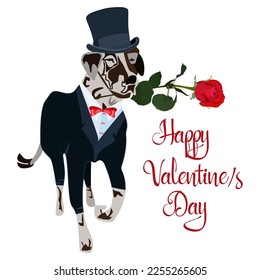 Dalmatian dog running with basket of roses, vector illustration. Cute pet dog with flowers for Valentines Day, birthday greeting card.