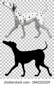 Dalmatian dog and its silhouette illustration