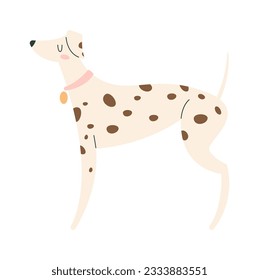 Dalmatian Dog Standing Vector Illustration