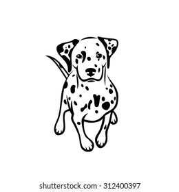 Dalmatian Dog Vector Illustration Stock Vector (Royalty Free) 312400397 ...