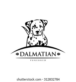 Dalmatian dog - vector illustration
